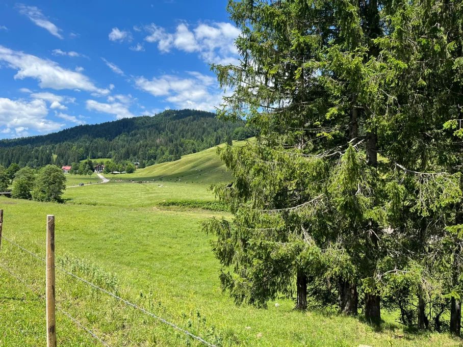 Der Blick ins Rohrmoostal entlohnt für die Arbeit - Hörnerdörfer im Allgäu