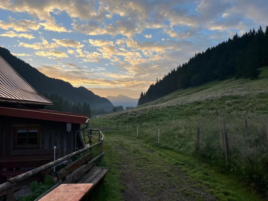 Morgens auf dem Weg in den Stall - Hörnerdörfer im Allgäu