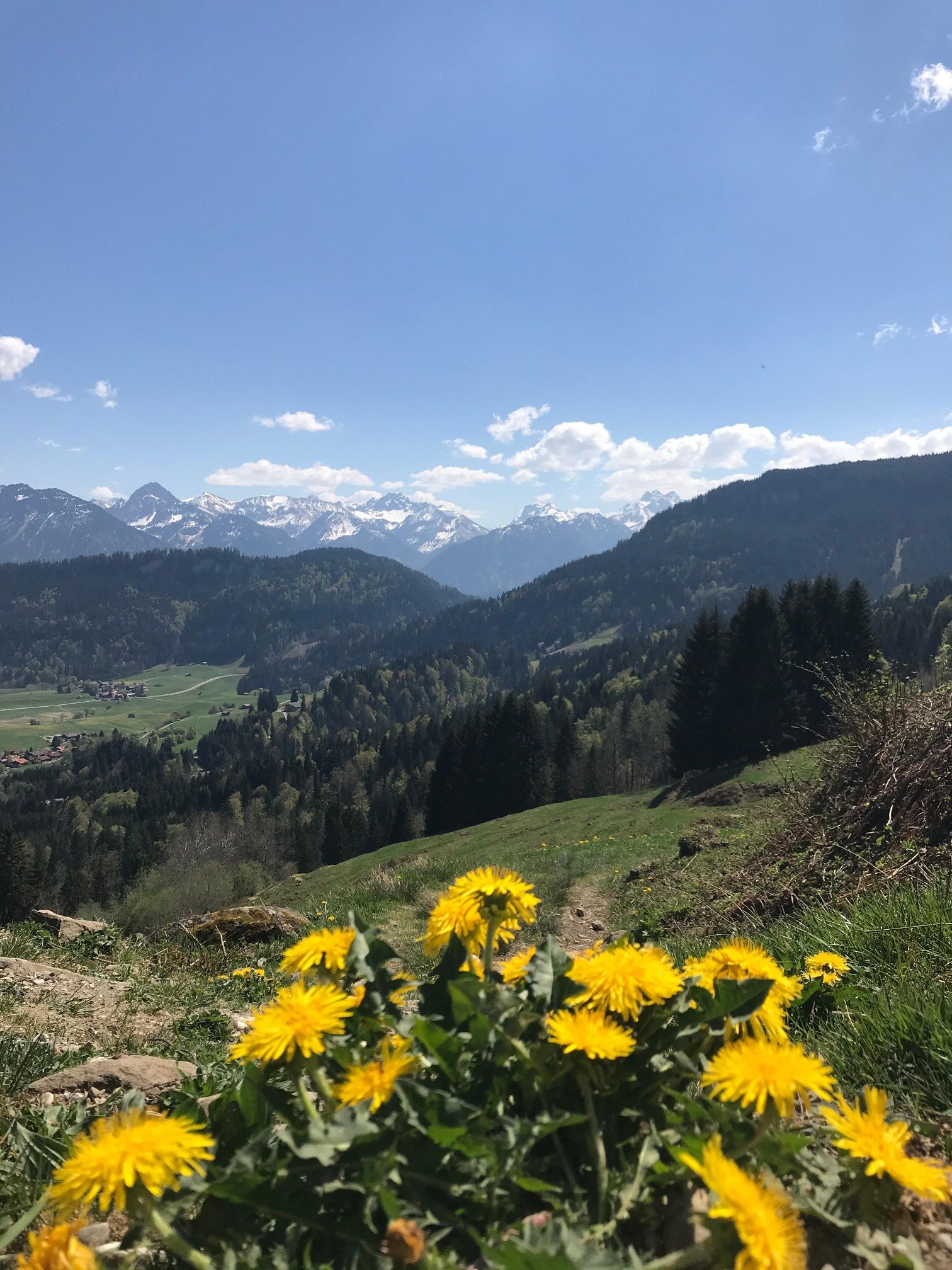 Blick in die Oberstdorfer Berge